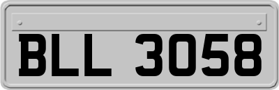 BLL3058