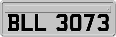 BLL3073