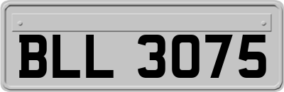 BLL3075