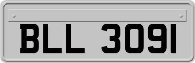 BLL3091