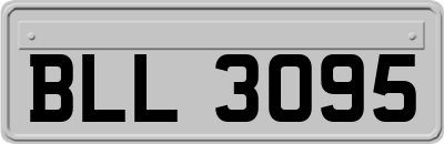 BLL3095