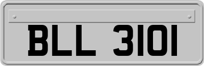 BLL3101
