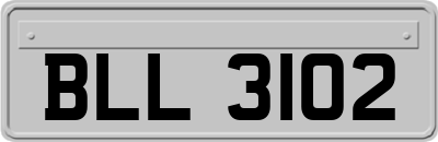 BLL3102