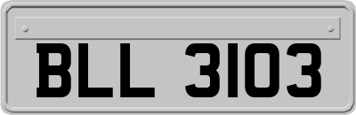 BLL3103