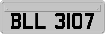 BLL3107