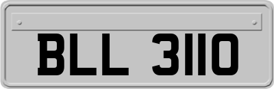 BLL3110