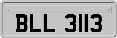 BLL3113