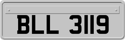 BLL3119