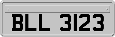 BLL3123
