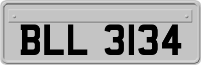 BLL3134