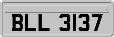 BLL3137