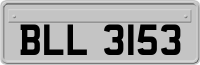 BLL3153