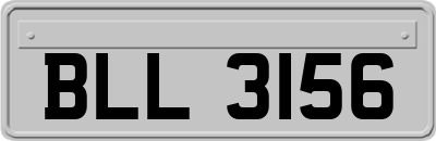 BLL3156