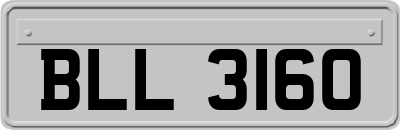 BLL3160