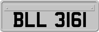 BLL3161