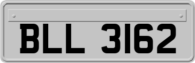 BLL3162