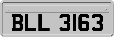 BLL3163