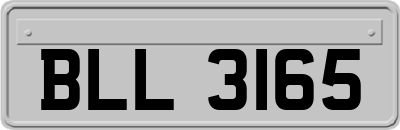 BLL3165