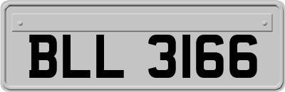 BLL3166