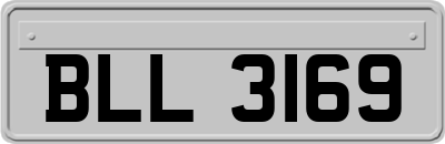 BLL3169