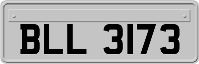 BLL3173