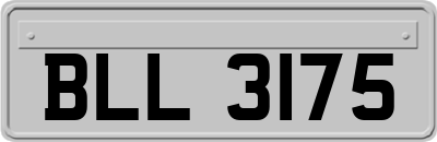 BLL3175