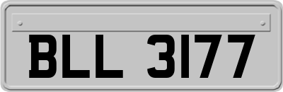 BLL3177