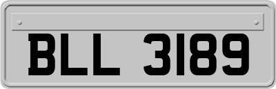 BLL3189