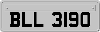 BLL3190