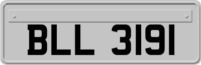 BLL3191