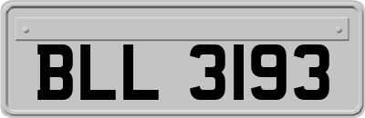 BLL3193