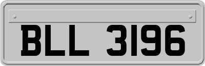 BLL3196