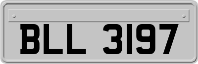 BLL3197