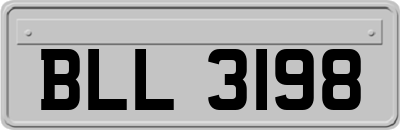 BLL3198