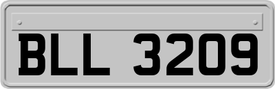 BLL3209