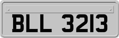BLL3213
