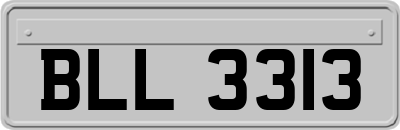 BLL3313