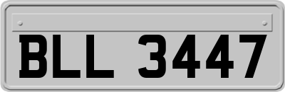 BLL3447