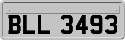 BLL3493