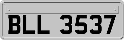 BLL3537