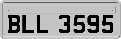 BLL3595