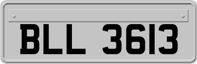 BLL3613