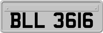 BLL3616