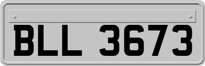 BLL3673