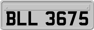 BLL3675