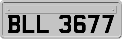 BLL3677