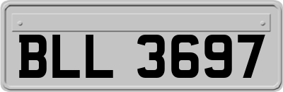 BLL3697