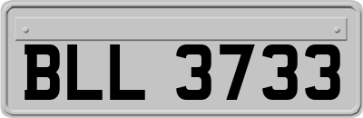 BLL3733