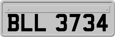 BLL3734