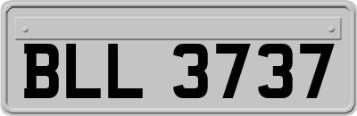BLL3737